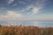 Landscape of some dried flowers with the sea in the background and clouds in the sky. copy space. horizontal image. background for