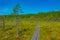 Landscape of Soomaa national park in Estonia