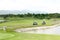 Landscape sport golf club