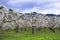 Landscape spring blooming garden orchard full of white apple flo