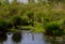 Landscape in Spring at Bottomless Lake, Walsrode, Lower Saxony