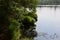 Landscape in Spring at Bottomless Lake, Walsrode, Lower Saxony