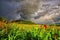 Landscape at the springtime and beautiful rainbow