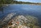 Landscape with starfish in Cape Scott Park. Vancouver. Canada