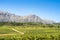 Landscape Stellenbosch