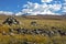 Landscape stepp, Ukok Plateau, Altai, Siberia, Russia