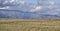 Landscape of steppe in Kazakhstan with a group of cranes