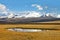 Landscape steppe shore lake, Ukok Plateau, Altai, R