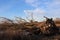 Landscape - after storm - big tree uprooted by a big storm