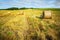 Landscape straw bales in wheatfield and bycicle