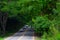 Landscape of a stretch of Highway GO-462.