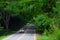 Landscape of a stretch of Highway GO-462.