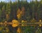 The landscape stretches beyond the river.Beautiful autumn forest.