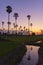 Landscape sugar palm tree refect on water in twilight