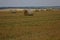 Landscape summer harvest  haystacks mowed field horizon