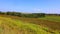 Landscape in summer in Prince Edwards Island