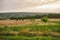 Landscape summer rural scene in France, region Burgundy. Road and nature in old europe. Countryside road in Burgundy