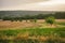 Landscape summer rural scene in France, region Burgundy. Road and nature in old europe. Countryside road in Burgundy