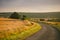 Landscape summer rural scene in France, region Burgundy. Road and nature in old europe. Countryside road in Burgundy