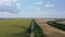 Landscape of sunflower, wheat fields and road