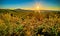 Landscape sunrise at brown mountain overlook