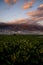 Landscape sunset beautiful view of tree bananas plantation and mountains in background with colorful amazig clouds in the blue sky