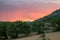 Landscape of a sunset with some old carob trees