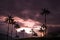 Landscape sunset of wax palm trees in Cocora Valley near Salento Quindio, Colombia