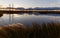 Landscape in the swamp. Sunset, lake, grass, dry trees