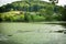 Landscape with swamped lake in the village, Russia