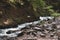 Landscape of swift mountain river with rocks and stones among green trees in forrest