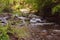 Landscape of swift mountain river with rocks and sunshine among green trees