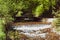 Landscape of swift mountain river with waterfall and stones among green trees