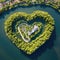 Landscape symbol of romance and love with a heart shaped forest seen from the sky in a forest and drawn with a road