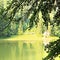 Landscape. Synevir lake in the Carpathians.