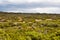 Landscape in Tasmania