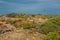 Landscape in Tasmania