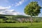 Landscape in the Taunus mountains