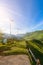 Landscape of Tea plantation 2000 at Doi Ang Khang