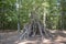 Landscape of teepee of twig branches in Wildpark in Kaiserslautern Germany