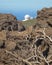 Landscape with telescope and rocks in La Palma. Spain