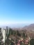 Landscape in Tenerife, cacti close-up