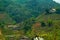 landscape terraced rice field near Sapa, north Vietnam