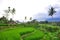 Landscape of terraced rice fields in Sukabumi, West Java, Indonesia