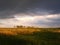 Landscape thunderclouds over the field and trees on a summer day