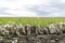 Landscape of Thurso countryside