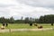 Landscape of Thurso countryside