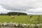 Landscape of Thurso countryside