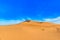 Landscape Tinfou Dunes, Zagora, Sahara, Morocco. Copy space for text