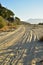 Landscape with tire tracks in beach road tropical morning Baja, Mexico